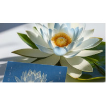 Puntuación de lealtad del instructor de meditación