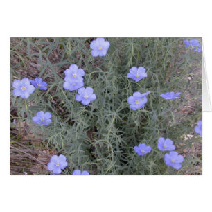 Tarjeta de flamante flor