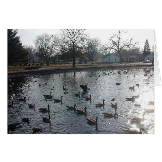 Tarjeta de Flapping Goose (Anverso (Horizontal))