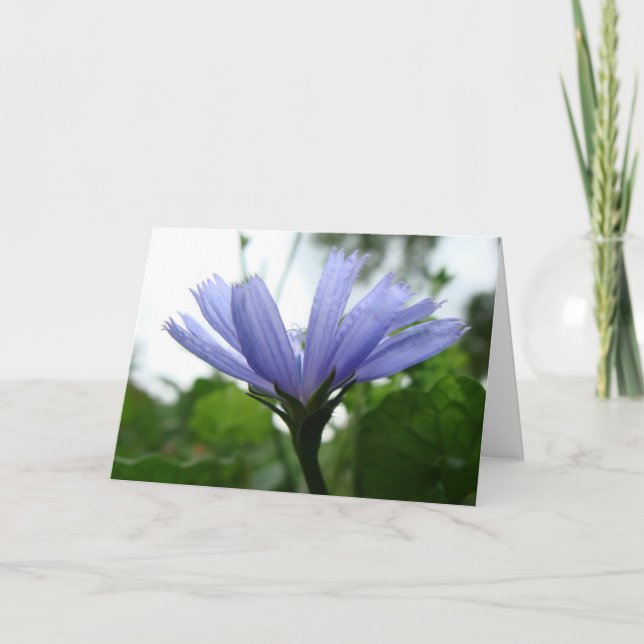 Tarjeta de flor azul en blanco (Anverso)