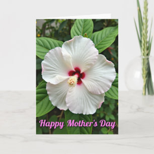 Tarjeta de Flor Blanca Listada