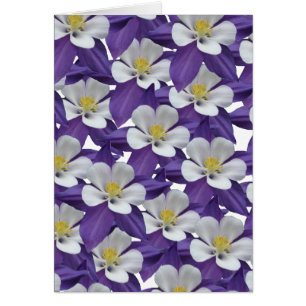 Tarjeta de flor blanca y púrpura de Columbine