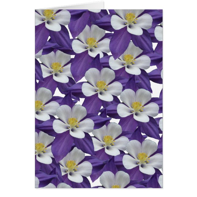 Tarjeta de flor blanca y púrpura de Columbine (Frente)