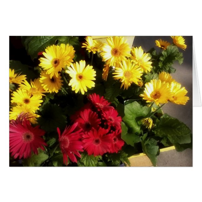 Tarjeta de Flor Brillante (Anverso (Horizontal))