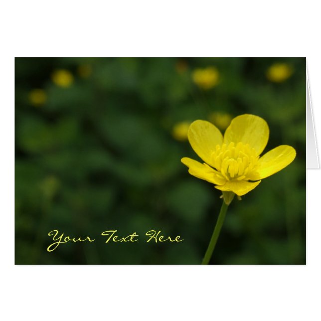 Tarjeta de flor Butcup (Anverso (Horizontal))