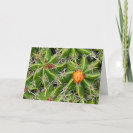 Tarjeta de flor Cactus - Saludo Personalizar