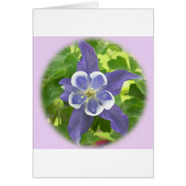 Tarjeta de Flor Columbina Aquilegia