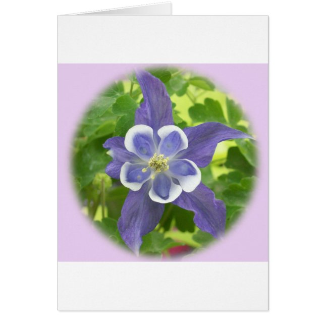 Tarjeta de Flor Columbina Aquilegia (Frente)