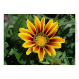 Tarjeta de flor de blanco