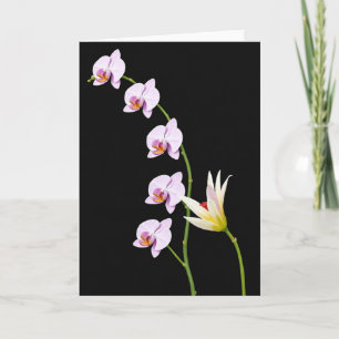 Tarjeta de Flor de Bloom de Terciopelo
