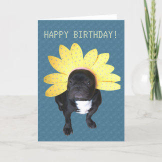 Tarjeta de flor de Bulldog francés de cumpleaños f