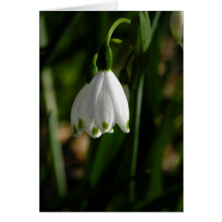 Tarjeta de flor de caída de nieve