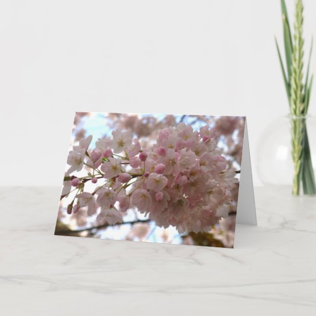 Tarjeta de Flor de Cerezo Tarjeta de Flor Blanca P (Anverso)