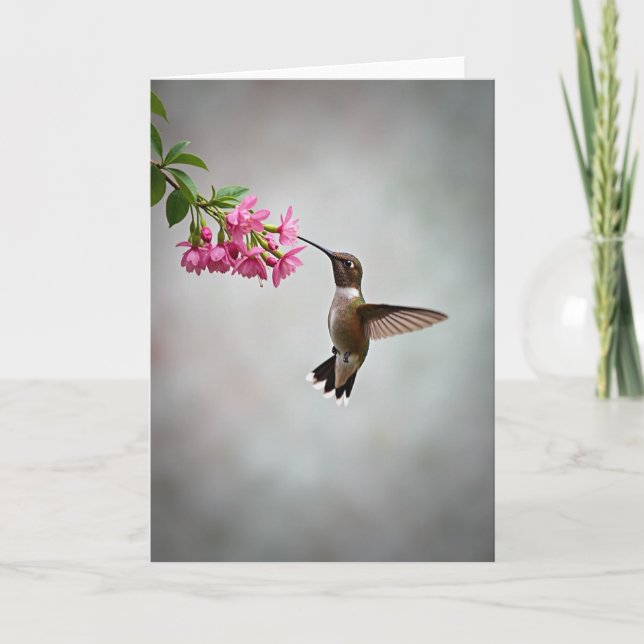 Tarjeta de Flor de Colibrí de Lunares (Anverso)