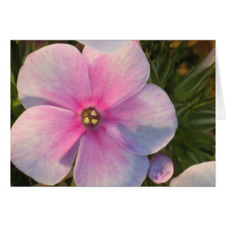 Tarjeta De Flor De Cuatro O'Clock