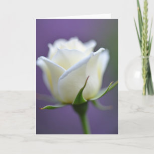 Tarjeta de Flor de Día de la Madre Cremosa