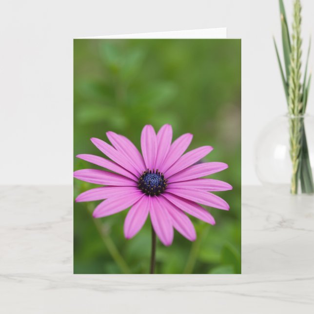 Tarjeta de Flor de Floración Esmeralda (Anverso)