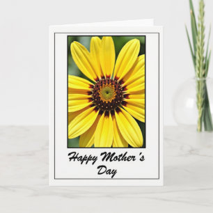 Tarjeta de Flor de Floración Radiante