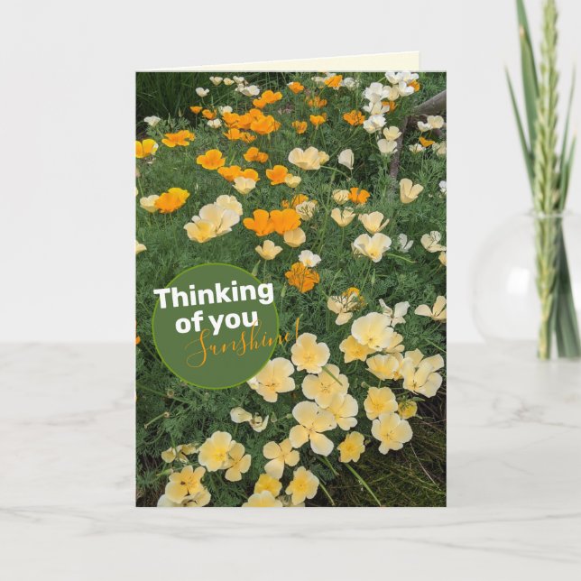 Tarjeta de flor de Naranja amarillo Poppies (Anverso)