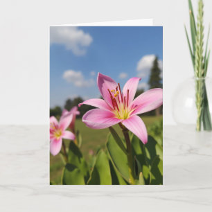 Tarjeta de Flor de Pétalo de Rosa