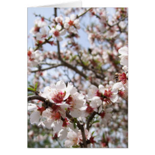 Tarjeta de flor de primavera