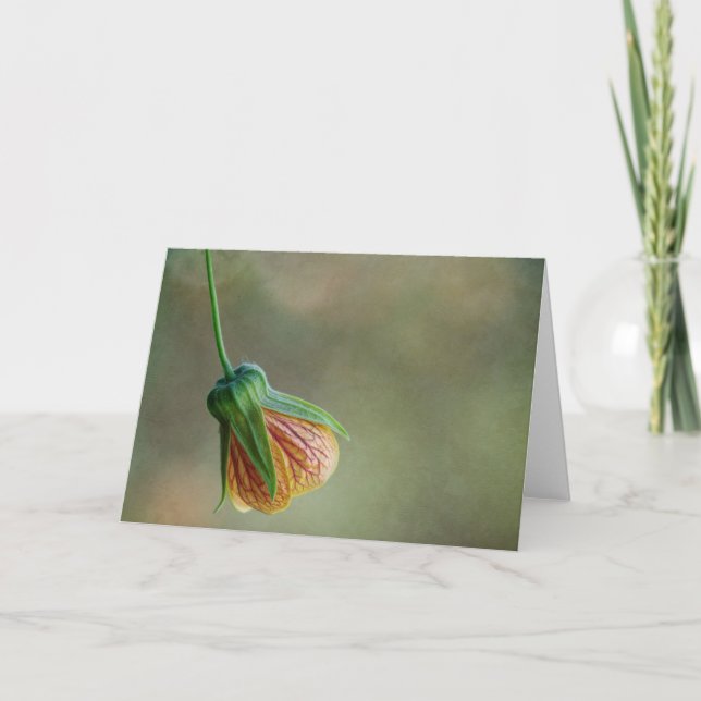 Tarjeta de flor de una sola linterna china (Anverso)