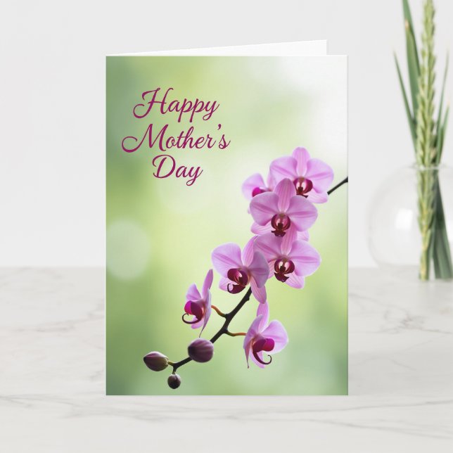 Tarjeta de Flor de Violeta Mate (Anverso)