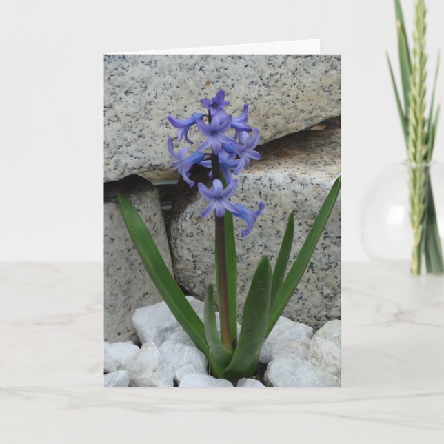 Tarjeta de flor en blanco (Anverso)