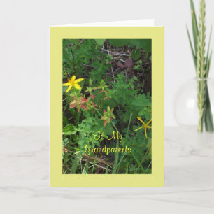 Tarjeta de flor enmarcada- Aniversario de los abue
