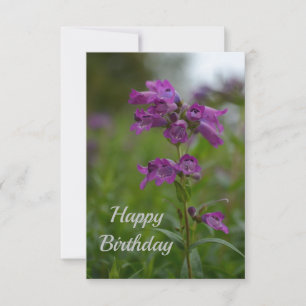 Tarjeta de flor morada rosada Dragonmouth