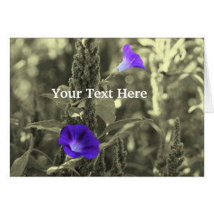 Tarjeta De Flor Negra Y Blanca Glorias De Mañana