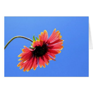 Tarjeta de flor roja