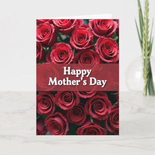 Tarjeta de Flor Roja de Terciopelo