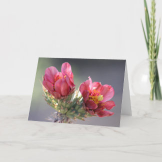 Tarjeta de Floración de Cholla del Desierto
