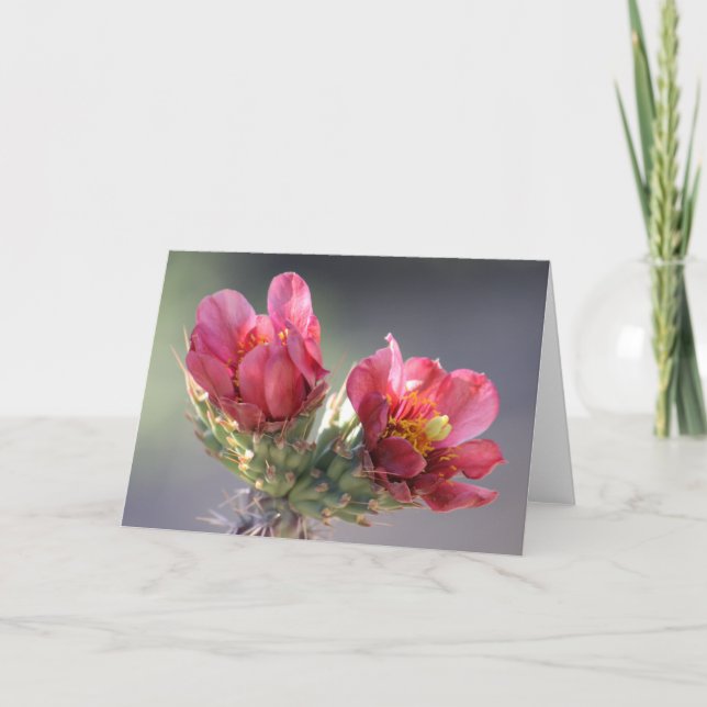 Tarjeta de Floración de Cholla del Desierto (Anverso)