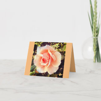 Tarjeta de Floración de Primavera