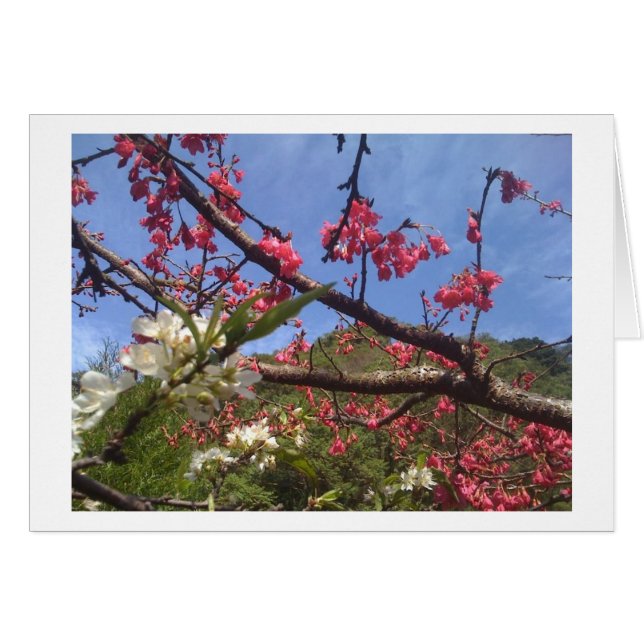 Tarjeta de flores (Anverso (Horizontal))