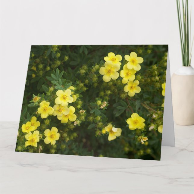 Tarjeta de flores amarillas (Anverso)
