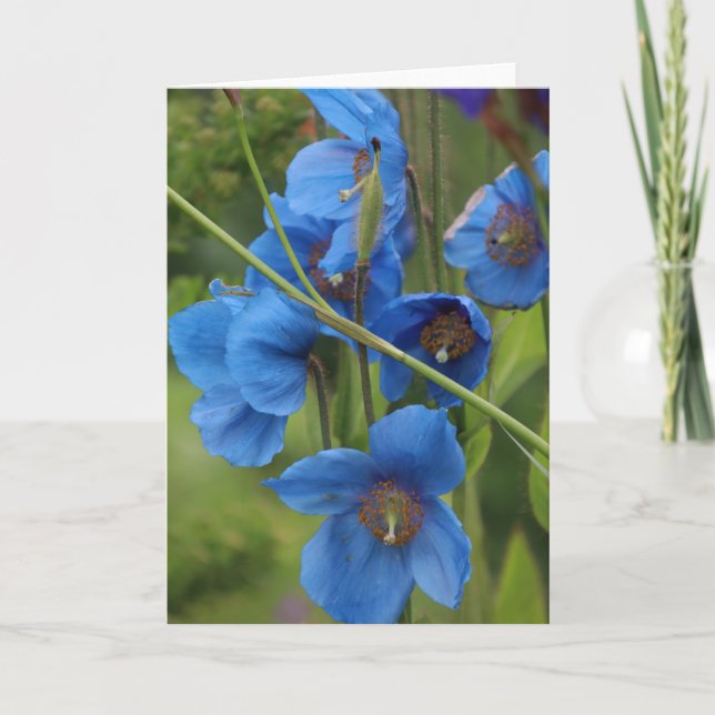 Tarjeta de flores azules (Anverso)