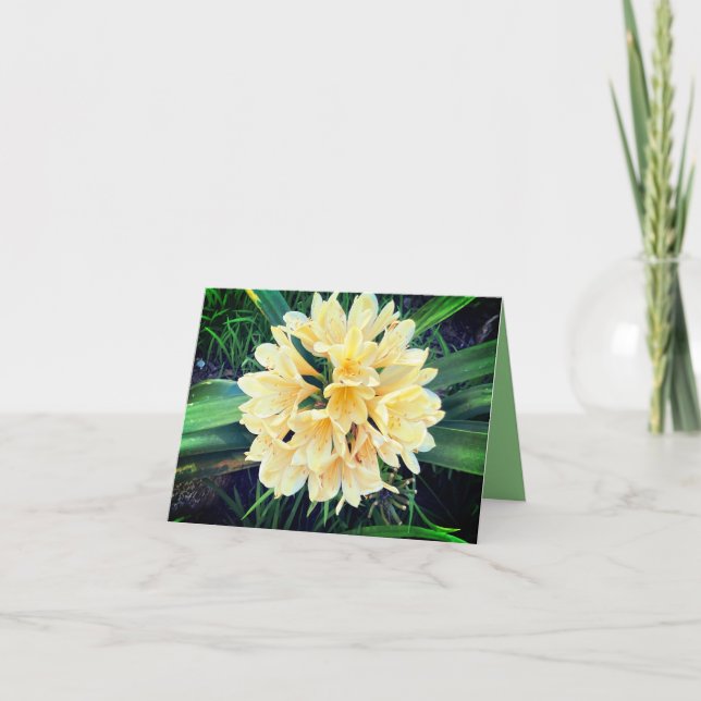 Tarjeta de flores brillantes  (Anverso)