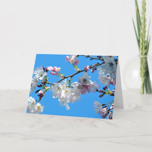 Tarjeta de flores de cerezo de primavera