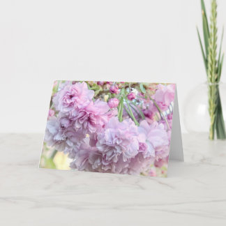 Tarjeta de flores de cerezo que llora