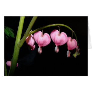 Tarjeta de flores de corazón sangrantes
