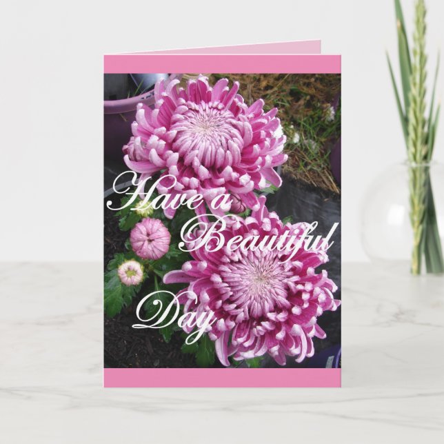 Tarjeta de flores de crisantemo tienen un hermoso  (Anverso)