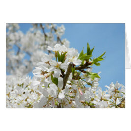 Tarjeta de flores de glicinia blanca