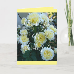 Tarjeta de flores de jardín de Rosa de los Rosas a