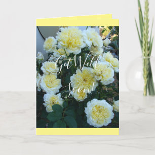 Tarjeta de flores de jardín de Rosa de los Rosas a