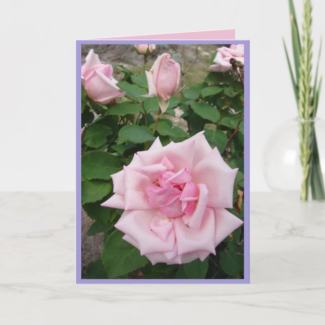 Tarjeta de flores de jardín de Rosa de Rosas de co (Anverso)