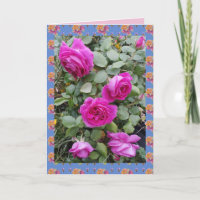 Tarjeta de flores de jardín de Rosa de Rosas Vinta