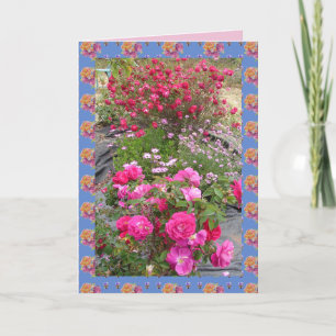 Tarjeta de flores de jardín de Rosa de Rosas Vinta